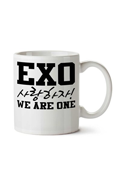 ART HEDİYE EXO Sarangjia!We Are One Two Side Printed Mug