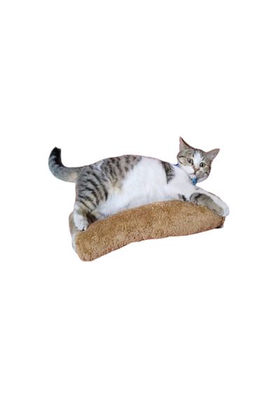 TİNEKE Cat Toy Hugging Pillow Sleep Toy with Cat Herb 30 Cm Plush (1 Piece) Brown