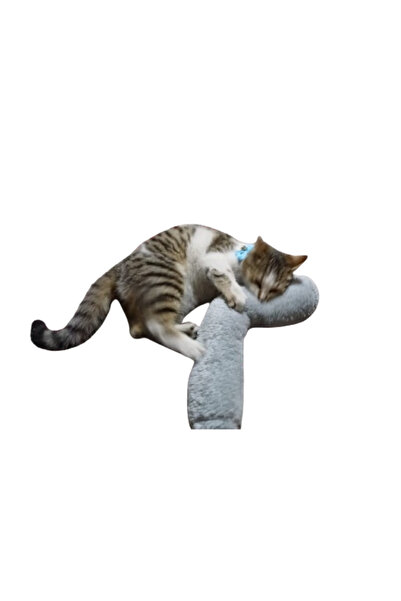 TİNEKE Cat Toy Hugging Pillow Sleeping Toy with Cat Herb 30 Cm Plush (1 Piece) Gray