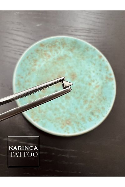 Karınca Piercing 2pcs Pointed End Spike Piercing Ball Set for 1.2mm Piercings (Ant Tattoo)