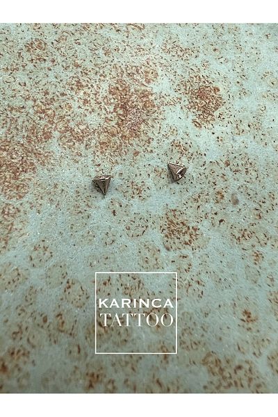 Karınca Piercing 2pcs Pointed End Spike Piercing Ball Set for 1.2mm Piercings (Ant Tattoo)