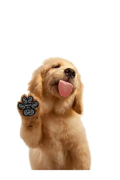 RAIKOU Waterproof Non-Slip Wear-Resistant Dog Paw Protector