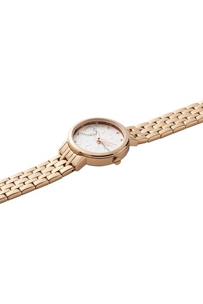 Pierre Cardin Cbl.0015.V Wristwatch