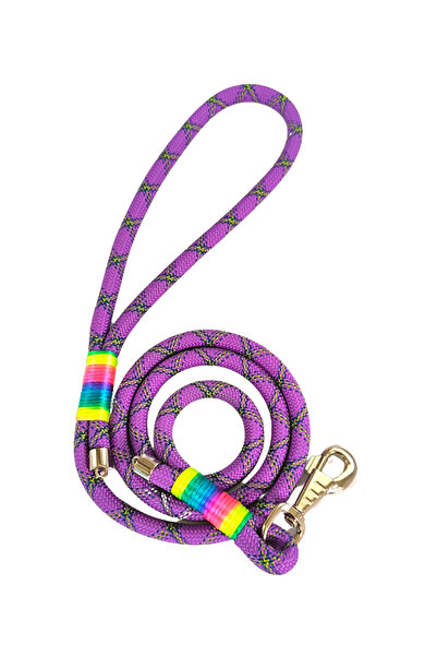 Pet Trendy Shop حزام مشي للكلاب، مقود شحن 130 سم × 1.2 سم