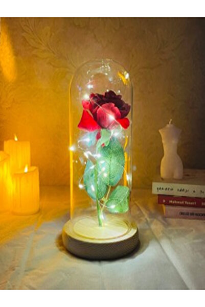 ÖZ Günışığı Ledli Solmayan Gül