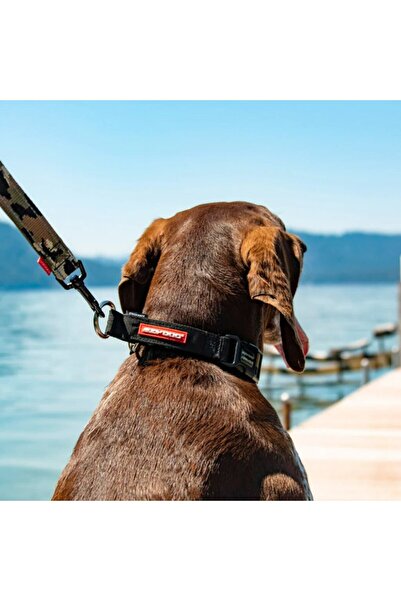 Ezydog Double Up Collar - Kırmızı