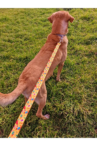 UTDpet Yellowdoggy Köpek Boyun Tasması ve Gezdirme Sevk Kayış Seti (Fular hediyeli)