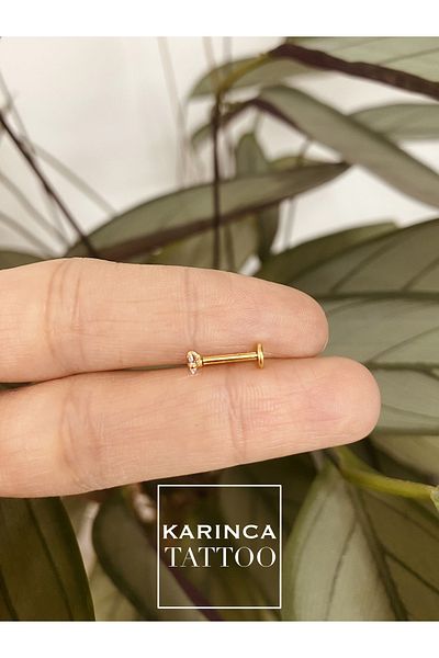 Karınca Piercing Gold & Silver Stone Piercing - Lip, Cartilage, Helix, Conch, Flat Ear Nose Labret, Tragus Earrings