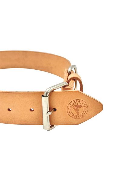 TB Leather Leather Dog Collar
