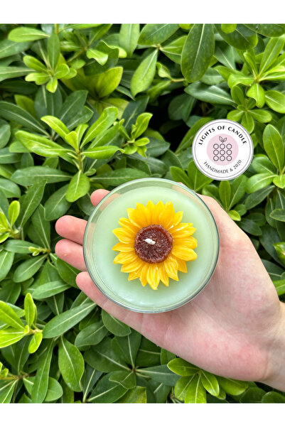 lıghts of candle handmade & 2020 Ayçiçeği Temalı Çiçek Kokulu Hediyelik Barda...
