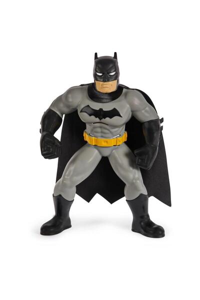 Genel Markalar Spin Master Batman Yüzme Arkadaşları 6067008 20142128