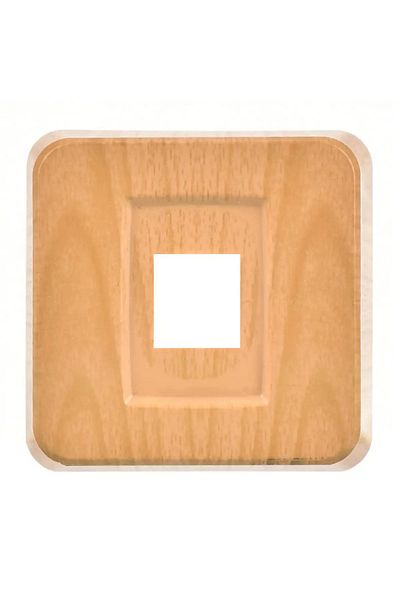 Günsan Fantasy Misya Data Socket (No Jack), Maple