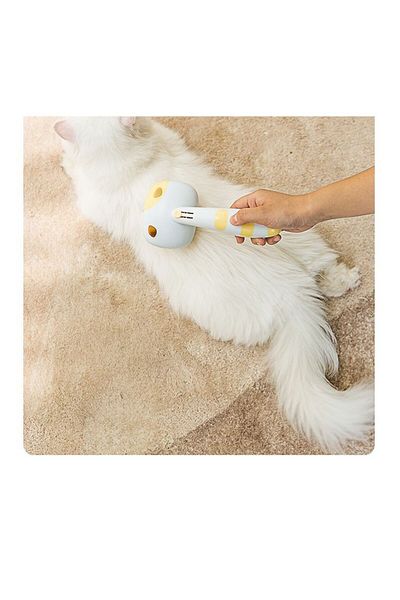 RAIKOU Cat and Dog Comb, Cat Hair Collector