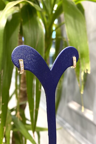 Altınaşkı Renkli Taşlı Altın Çocuk Küpe