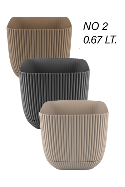 TEMMUZ HOME 3 Adet 2 No Kare Orta Boy Çok Renkli Mercan Kare Kaktüs Ve Sukulent Saksı Seti