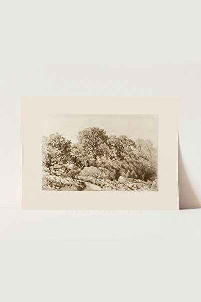 HOME DEKORİSTA Manzara Vintage Poster, Galeri Duvarı, Sanatsal Baskı