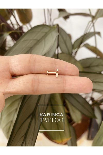 Karınca Piercing Star Rose Gold Silver Labret - Ear & Cartilage Lip Conch Helix Tragus Piercing