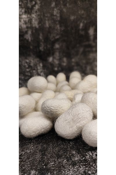 Nema Natural Silk Beetle Cocoon Raw Cocoon 20 Pieces