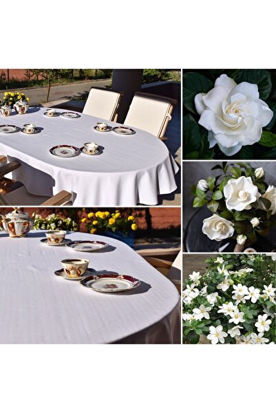 SG Premium Gardenia Balıksırtı Oval Masa Örtüsü