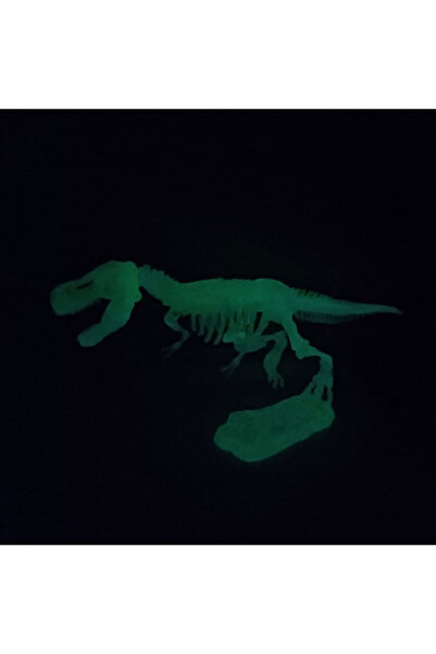 Dinozorlar Fosforlu Parıldayan Glow T-rex 3 Boyutlu Dinozor İskelet Maket Model Oyuncak