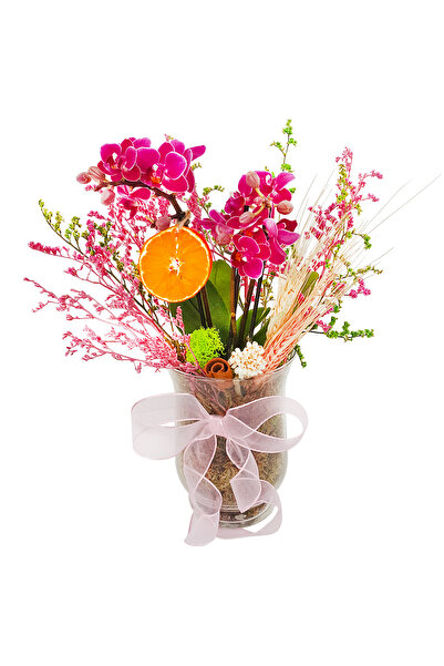 çiçekseli Bahar Dalı Mini Phalaenopsis Orkide & Cam Vazoda Zarif Ev Ofis Salo...