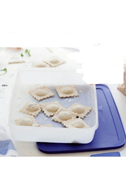 Tupperware Alaska Serisi Derin Dondurucu Saklama Kabı