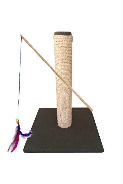 WODDY Siyah Kedi Tırmalama Ve Kedi Oltası