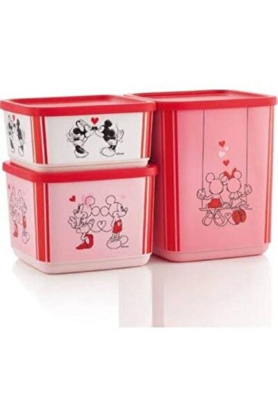 Tupperware Minnie Mickey Set