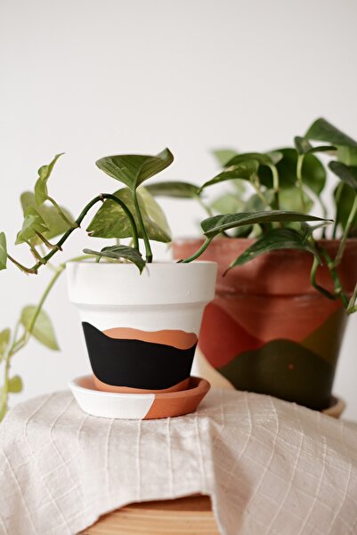 fidayy Terracotta Saksı + Tabak Siyah Beyaz Waves 11x10cm