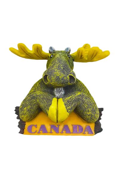 Vera Amerika Şehirleri Kanada Buzdolabı Magneti