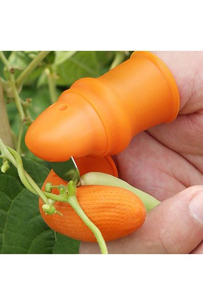 Tor Store Practical Vegetable Cutting Sorter - Thumb