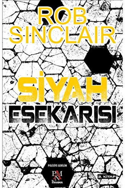 Panama Yayıncılık Siyah Eşekarısı Rob Sinclair