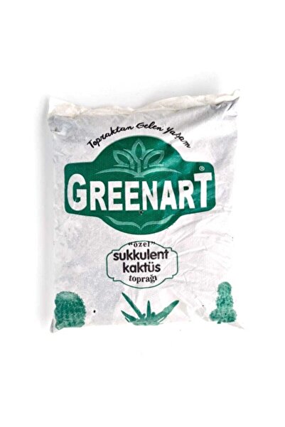 GreenArt Kaktüs Sukulent Toprağı