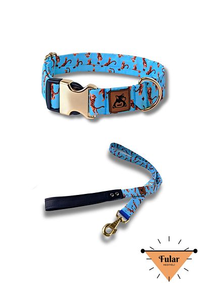 UTDpet Tigerfly Dog Collar and Travel Dispatch Strap Set (WITH SCARF GIFT)
