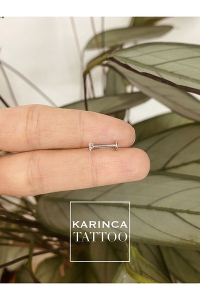 Karınca Piercing Jewelled Piercing Gold & Silver Lip Cartilage Helix Conch Flat Ear Nose Labret Tragus Piercing Earrings