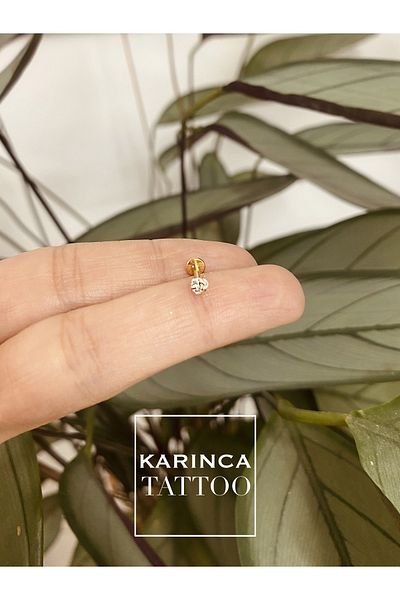 Karınca Piercing Gold & Silver Stone Piercing - Lip, Cartilage, Helix, Conch, Flat Ear Nose Labret, Tragus Earrings