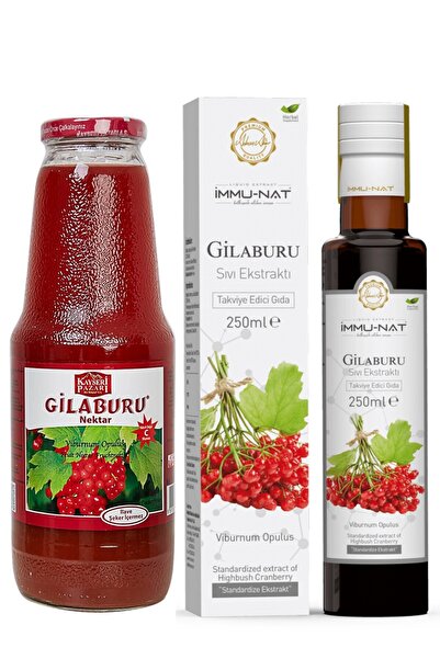 İmmu-Nat Gilaburu Sıvı Ekstraktı 250 ML + Kayseri Pazarı Gilaburu Nektarı Şeker İlavesiz 1 L