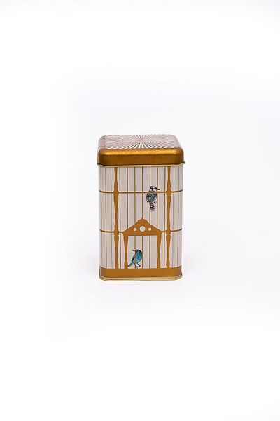 EVLE Er022-t7 Bird Cage Patterned Square Metal Storage Container 11x11 Cm