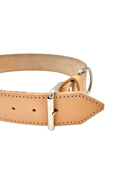 TB Leather Leather Dog Collar - Vegetable Tanned Leather Stitched Neck Collar