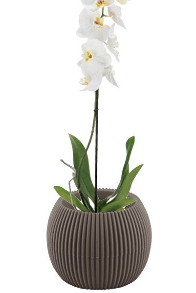 TEMMUZ HOME Kaktüs Ve Çiçekler Için Dekoratif Ve Şık Mercan Saksı Büyük Boy