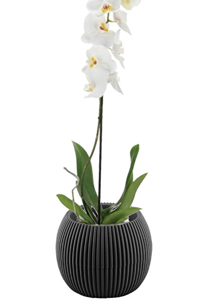 TEMMUZ HOME Kaktüs Ve Çiçekler Için Dekoratif Ve Şık Mercan Saksı Büyük Boy No3