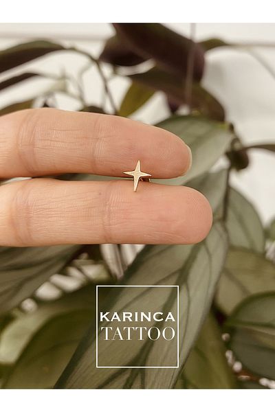 Karınca Piercing Star Rose Gold Silver Labret - Ear & Cartilage Lip Conch Helix Tragus Piercing