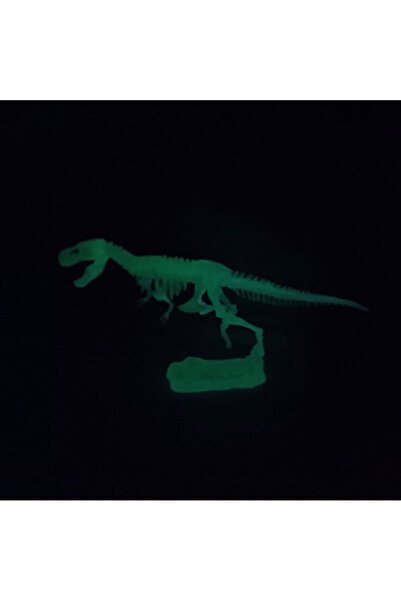 Dinozorlar Fosforlu Parıldayan Glow T-rex 3 Boyutlu Dinozor İskelet Maket Model Oyuncak