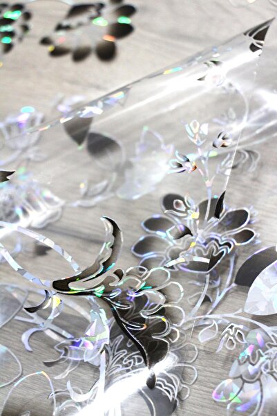 DDHOME Pvc Transparent Erasable Oilcloth Tablecloth 014-Black Rose