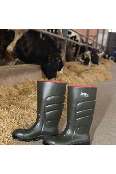 Polly Boot Polly Bot