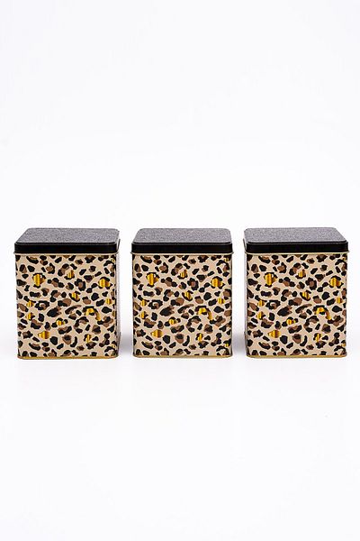 EVLE Erb49v4 Square Metal Storage Container 120x120 Set of 3, Leo