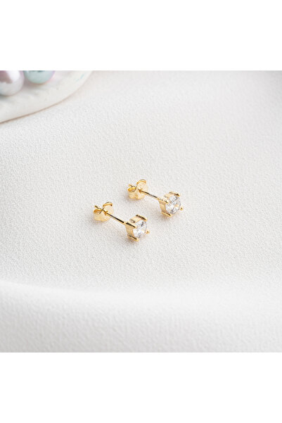 Nereze 925 Ayar Gümüş Pırlanta Montür 4 mm Tektaş Küpe