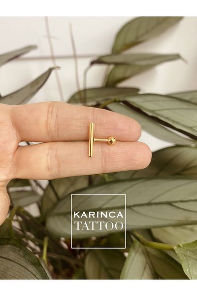 Karınca Piercing Sliver Ear Helix Cartilage Conch Piercing Earring Gold Color Gold Tragus Piercing
