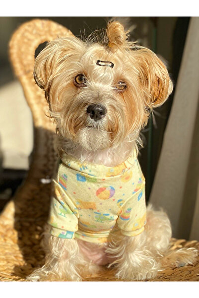 GoofyPet Kedi Köpek Kıyafeti Sarı Sweatshirt T-shirt Pijama