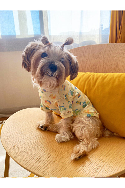 GoofyPet Kedi Köpek Kıyafeti Sarı Sweatshirt T-shirt Pijama